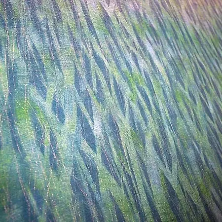 Hotel Anama Lucera